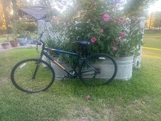 Mongoose men’s bike