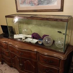 55 gallon fish tank last used for . Small animals it holds was used as a fish tank