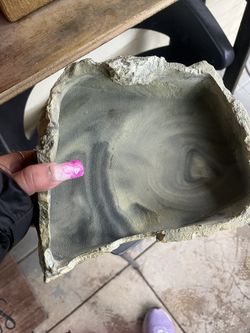 Reptile Decor