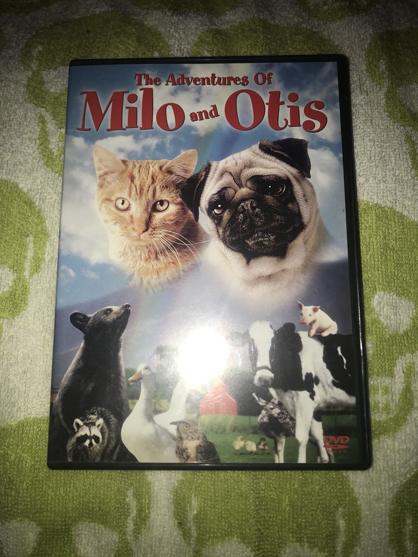 Milo and Otis Dvd