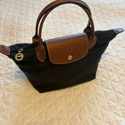Longchamp Medium Size / And Insert
