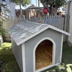 Dog House 