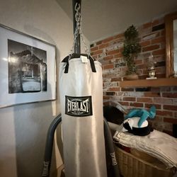 Punching Bag And Stand