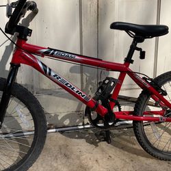 Bicycle Redline Roam