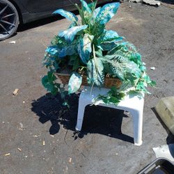 Artificial Plant Good Condition Asking 20 Dollars 