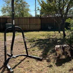 Everlast Boxing Stand 