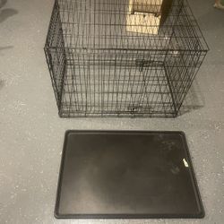 Extra Large Dog Crate 28x31x42 With Bottom Liner 