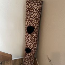 Cat Tunnel 