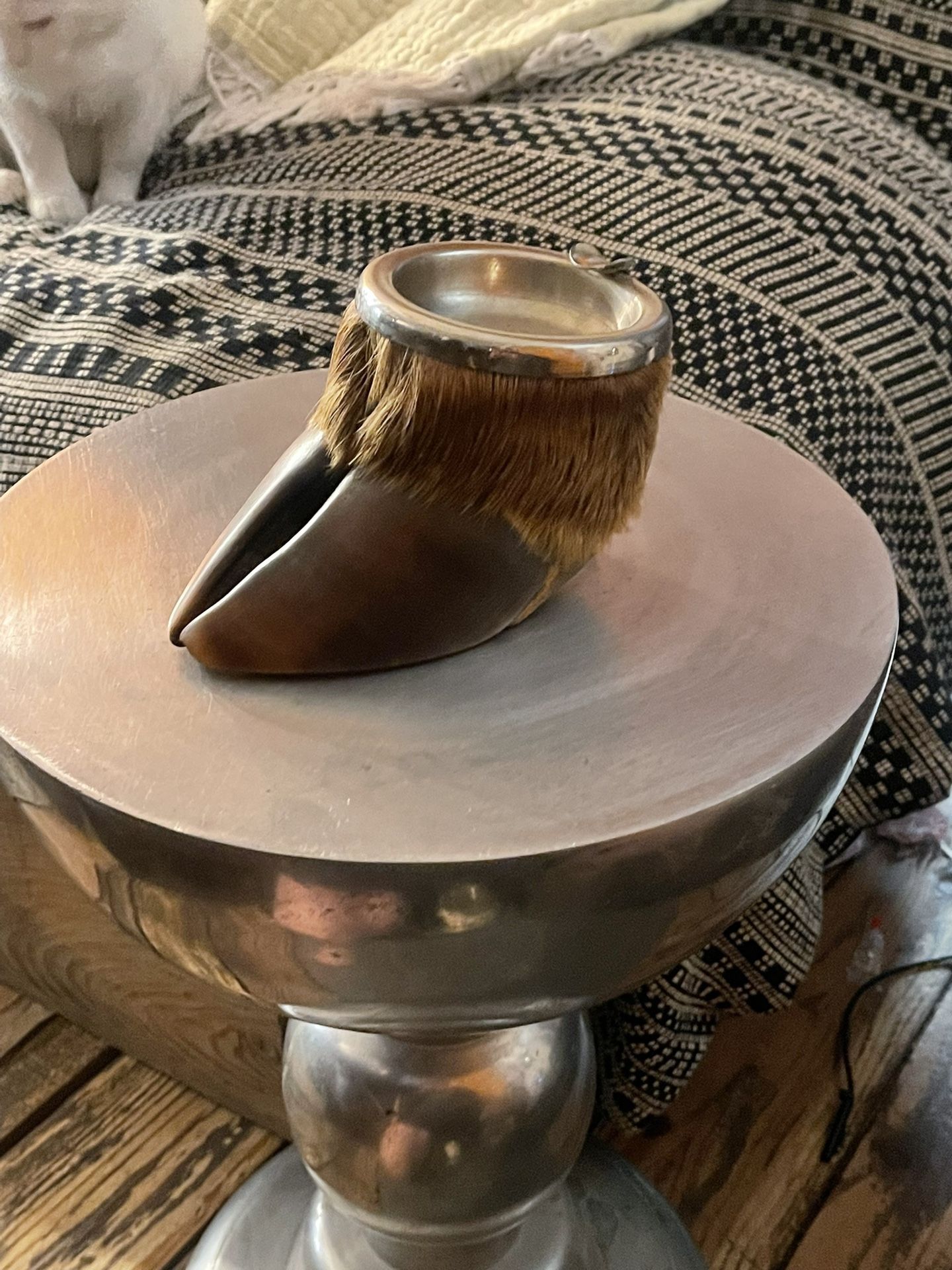 Taxidermy Antique Elk Hoof Ashtray