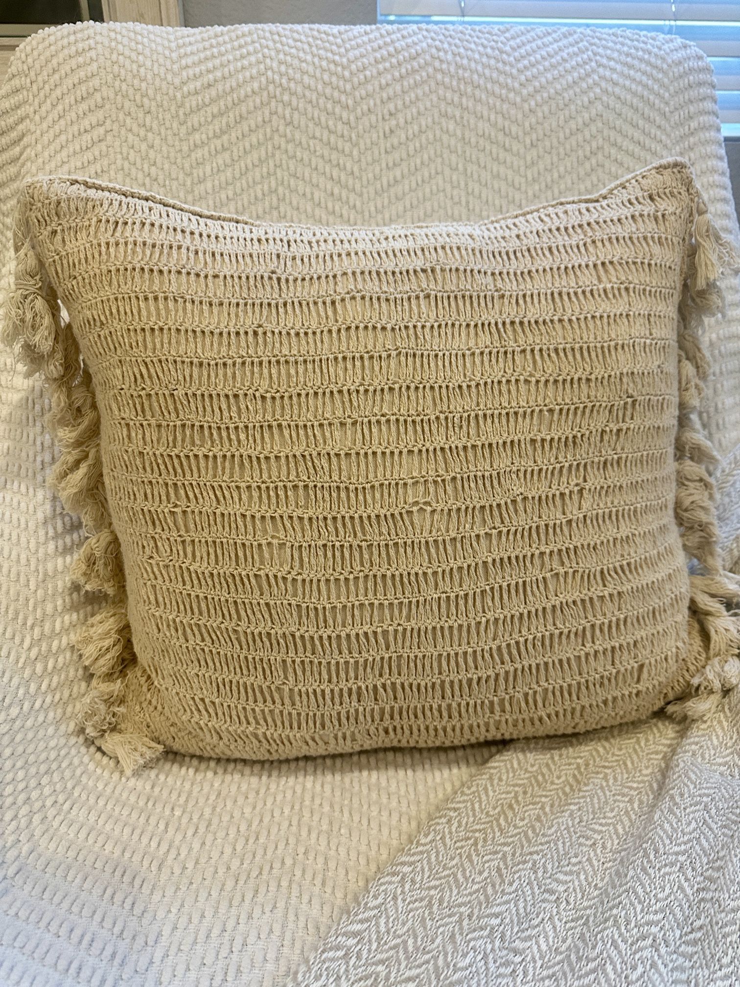 Homegoods throw Pillow