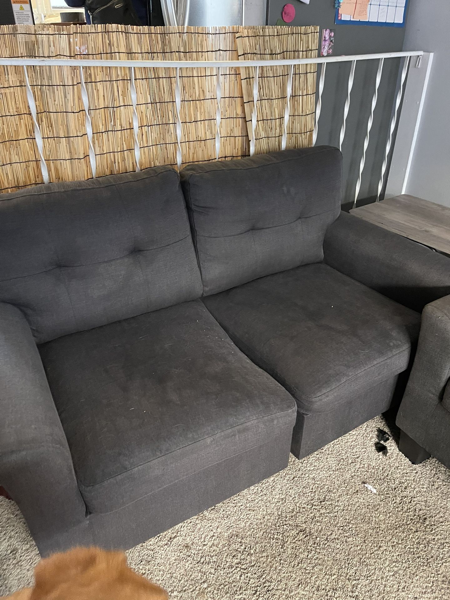 2 Gray Sofas (2-Cushion Couch)