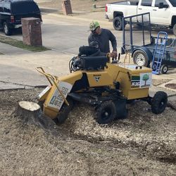 STUMP GRINDING