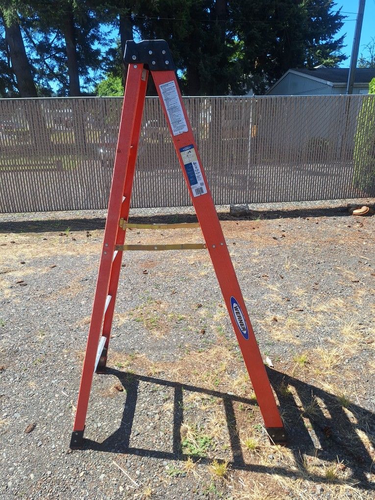 Warner 6' Step Ladder