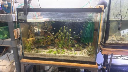 Aquariym gor sale