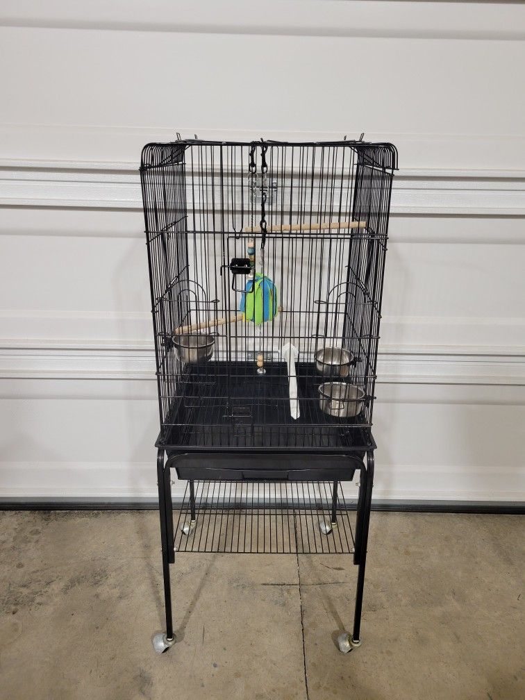 Bird Cage