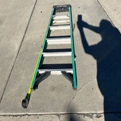 Werner 6 ft. Fiberglass Step Ladder (10 ft. Reach Height)