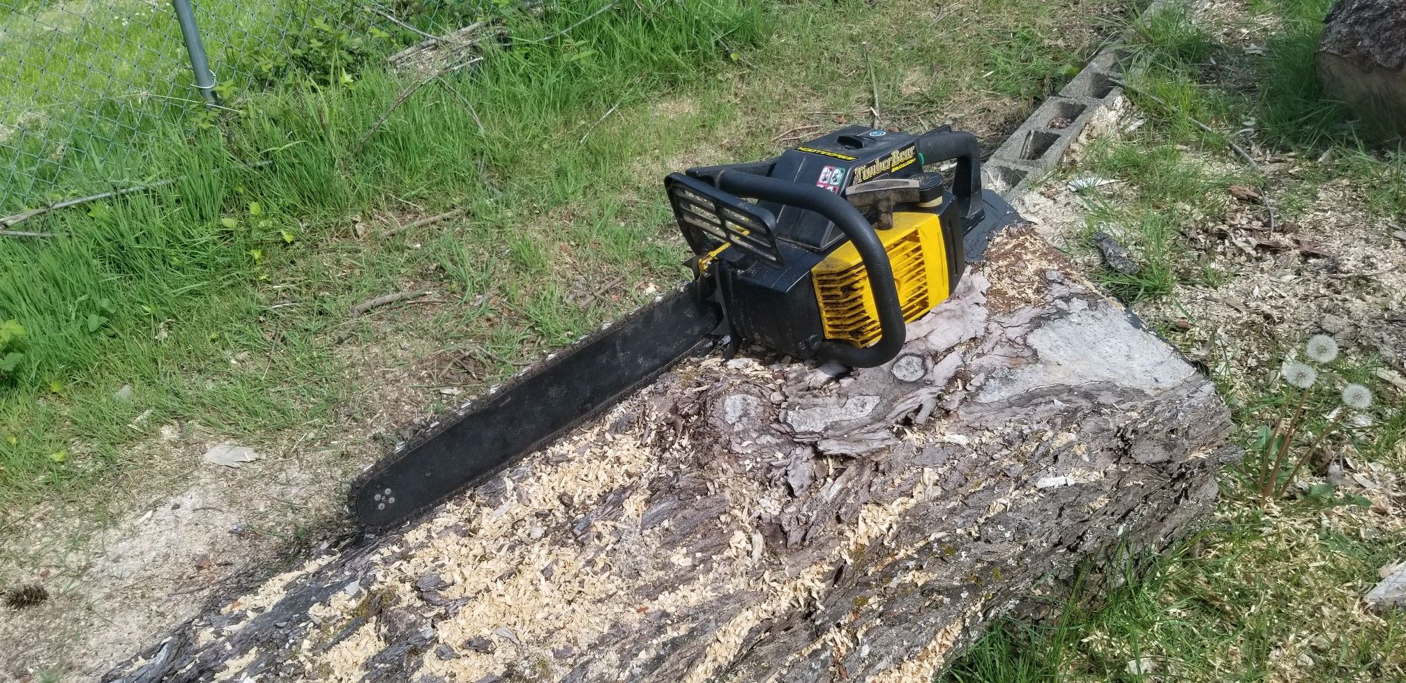55 CC McCulloch Timber bear chainsaw