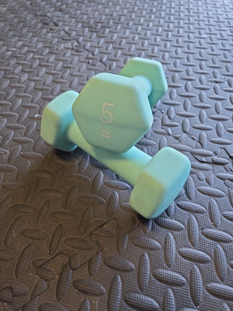 5lb Dumbbells
