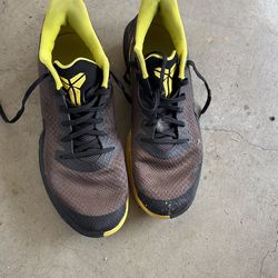 Kobe Shoes 