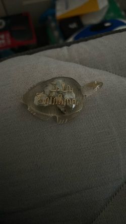 Isla Catalina Decorative Turtle 