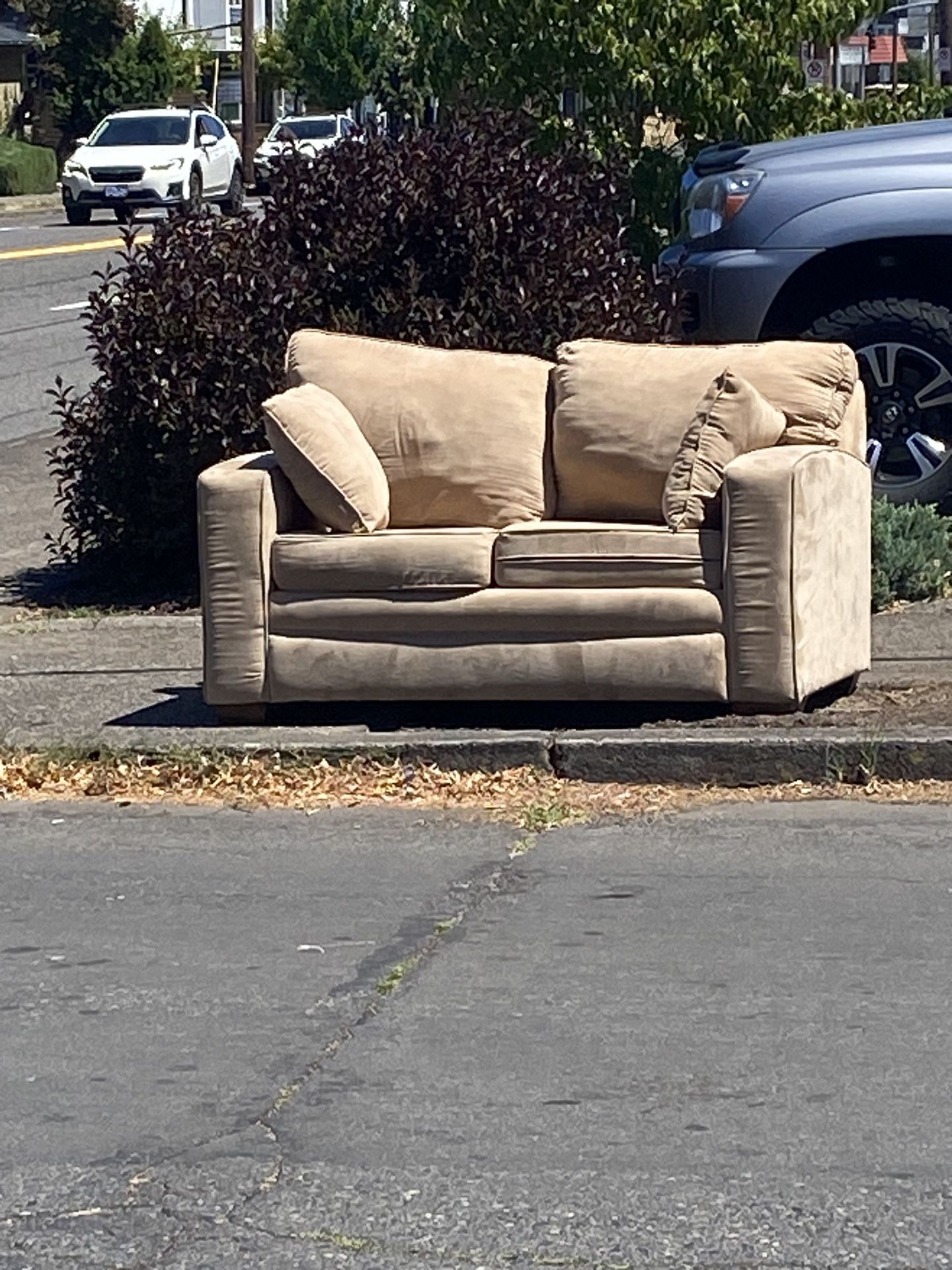 FREE Sleeper Loveseat / Couch / Sofa