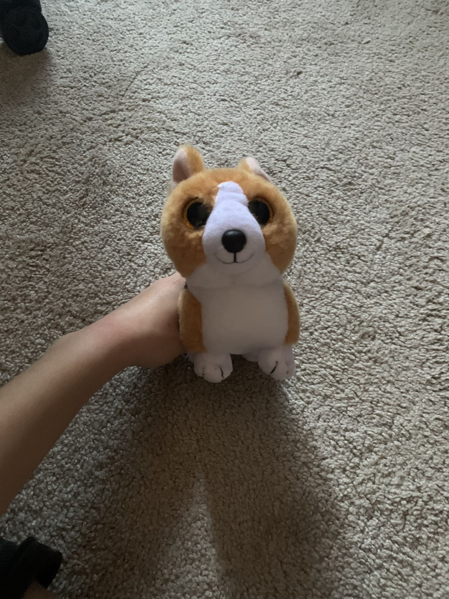 Corgi Beanie Babies Plush