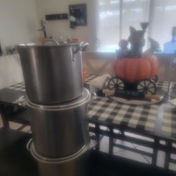 Two large pots.  $50 both