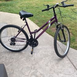 Roadmaster Girls Bike