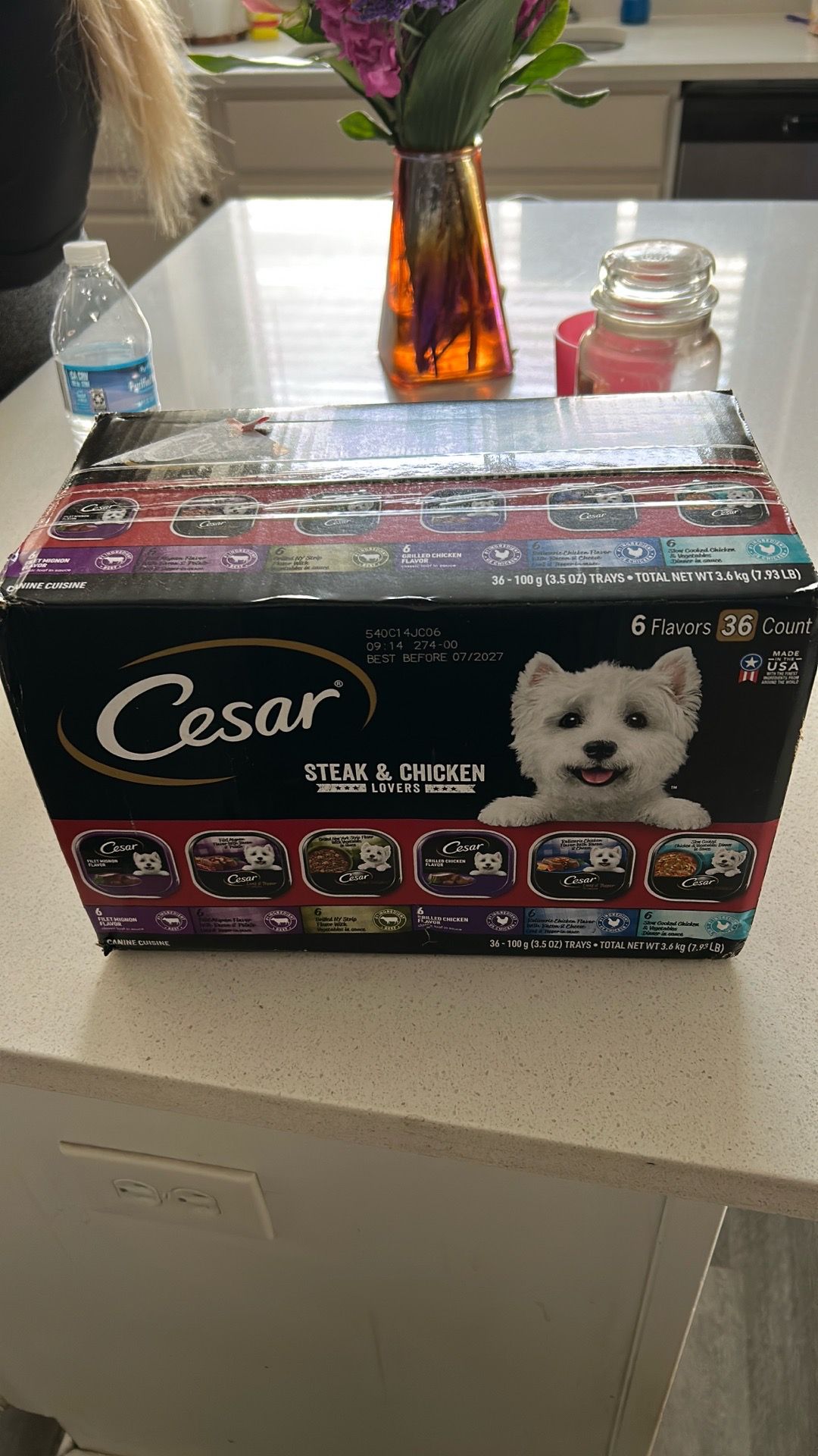 Free dog food