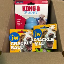 Kong Puppy Toy and JW Crackle Ball Dog Toys