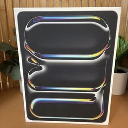IPad Pro 13inch 256GB
