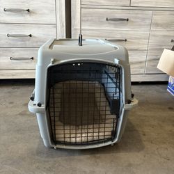 dog crate