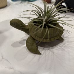 $12 Planters With Plants 