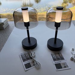 2-Pack Black Night Light,Cordless Small Touch 4000mAh Dimmable Battery Operated