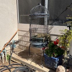 Bird Cages