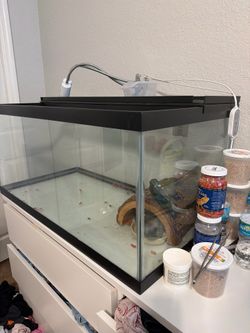 Big tank