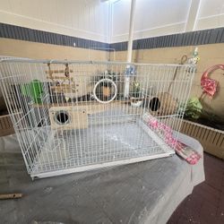 Bird Cage With New Accessories
