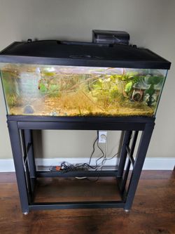 Fish tanks