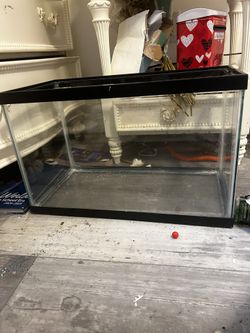 20" x 10" x 12" 10 Gallon tank