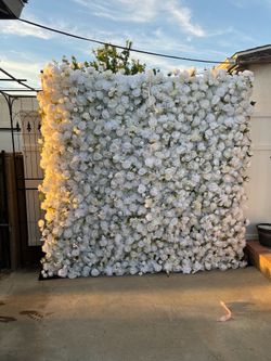 Flower wall