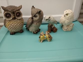 Owls Set