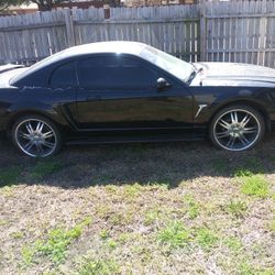 2000 Ford Mustang