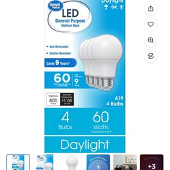 Great Value A19 LED Light Bulbs, 60 Watts Eqv, Daylight, General Purpose, 9yr, Medium Base, 4 pack