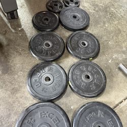 Bumper Weights 