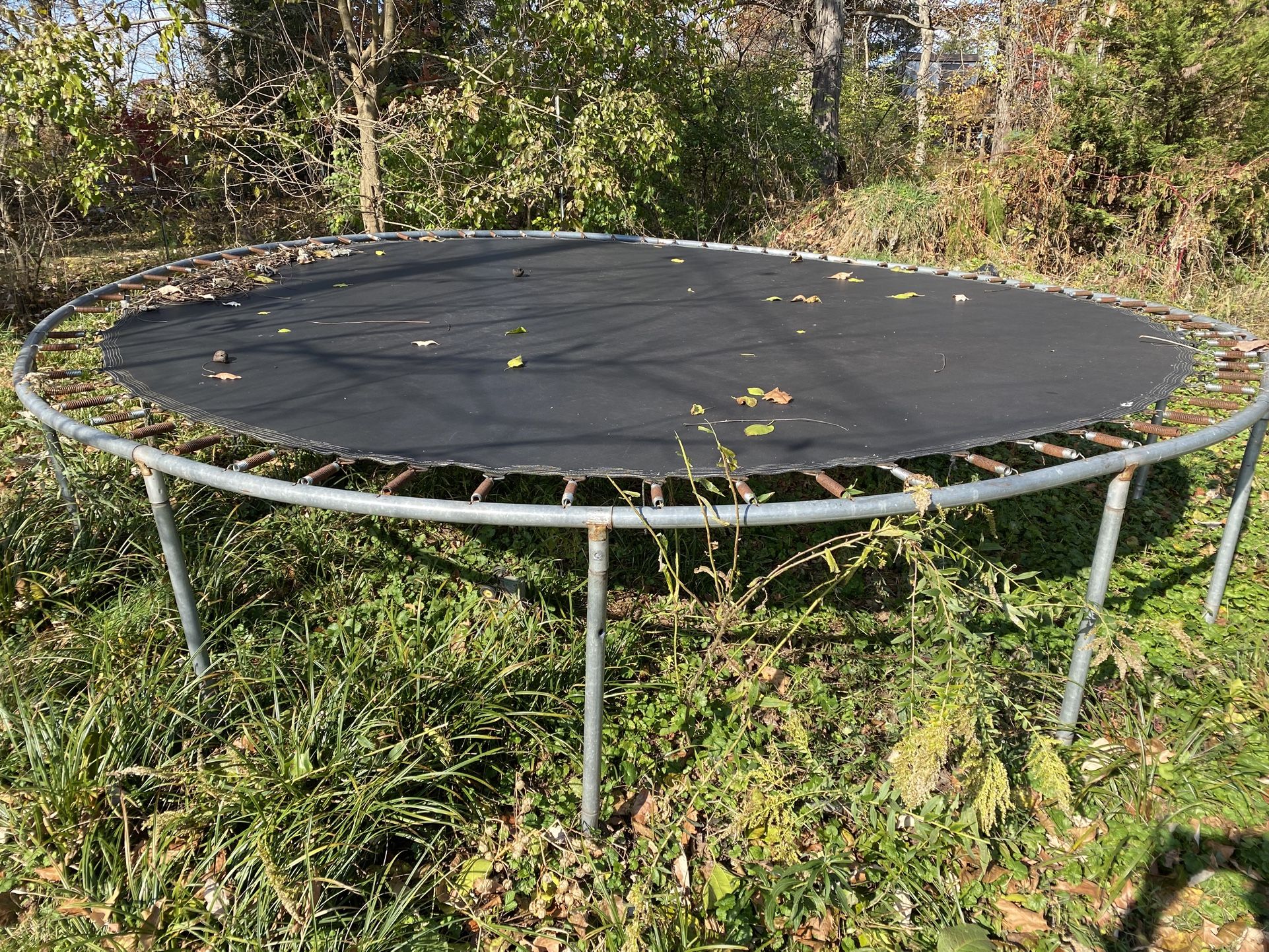 Free Trampoline 