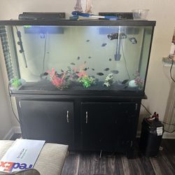 75 Gallon With Fish