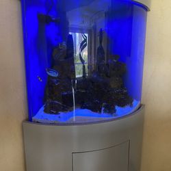 Aquarium, Fish, And Supplies