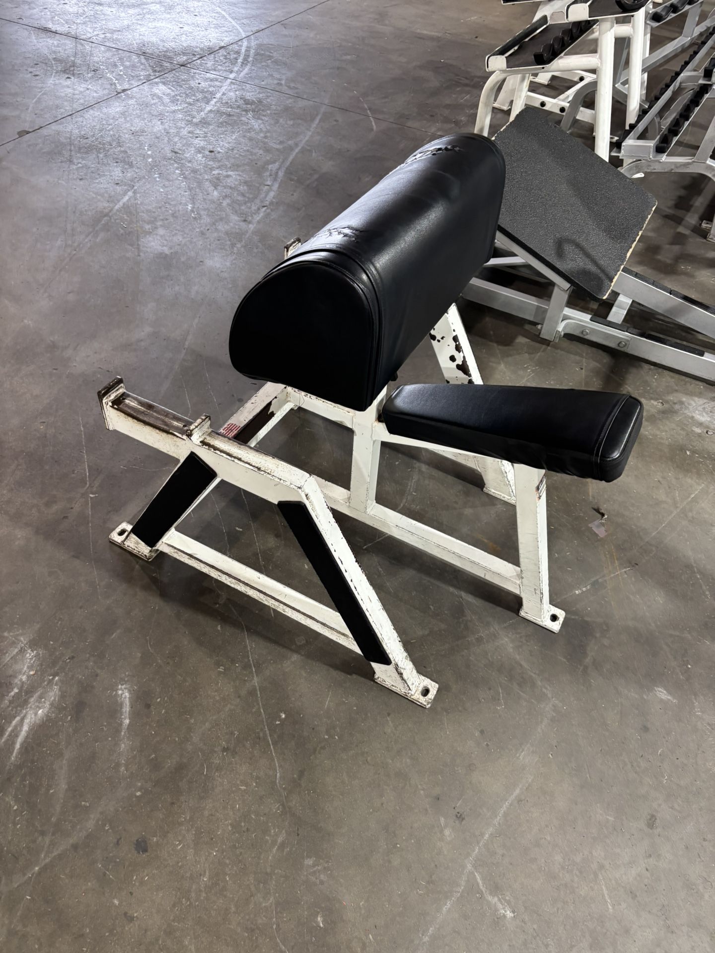 ๐ฅ MULTIPLE PREACHER CURL MACHINES FOR SALE ๐ฅ