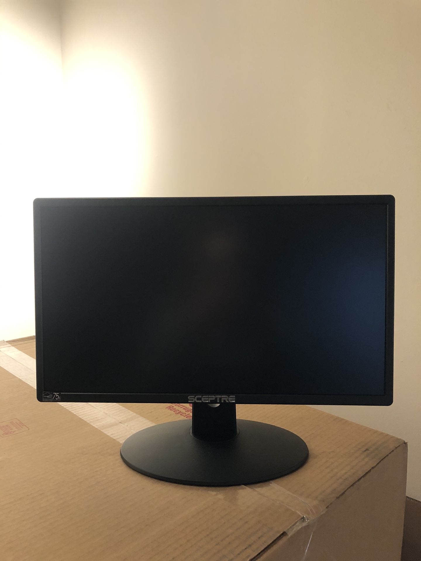 20” computer monitor