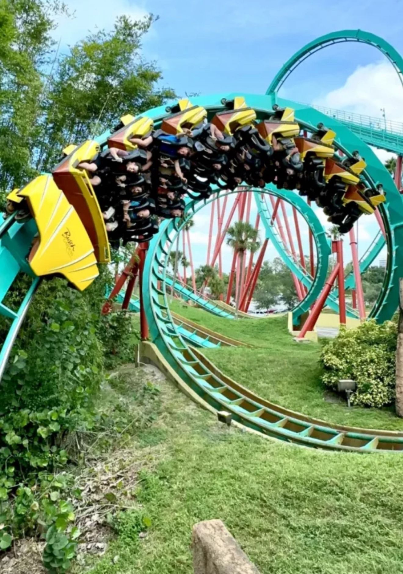 Busch Gardens Or Adventure Island Tickets
